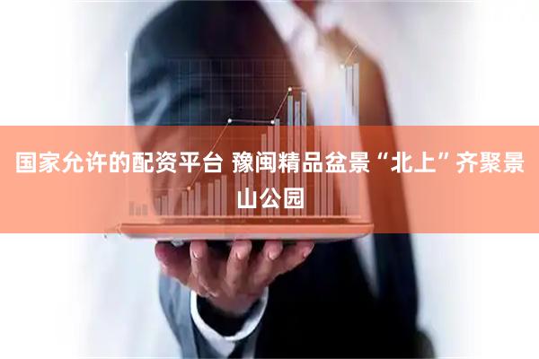 国家允许的配资平台 豫闽精品盆景“北上”齐聚景山公园