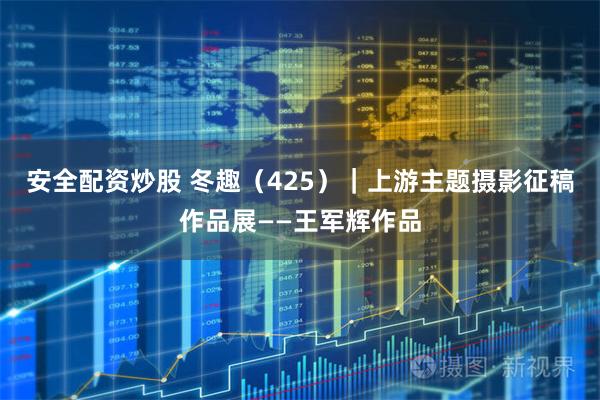 安全配资炒股 冬趣（425）｜上游主题摄影征稿作品展——王军辉作品